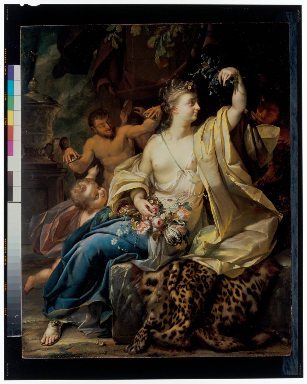 Flora de Herman van der Myn
