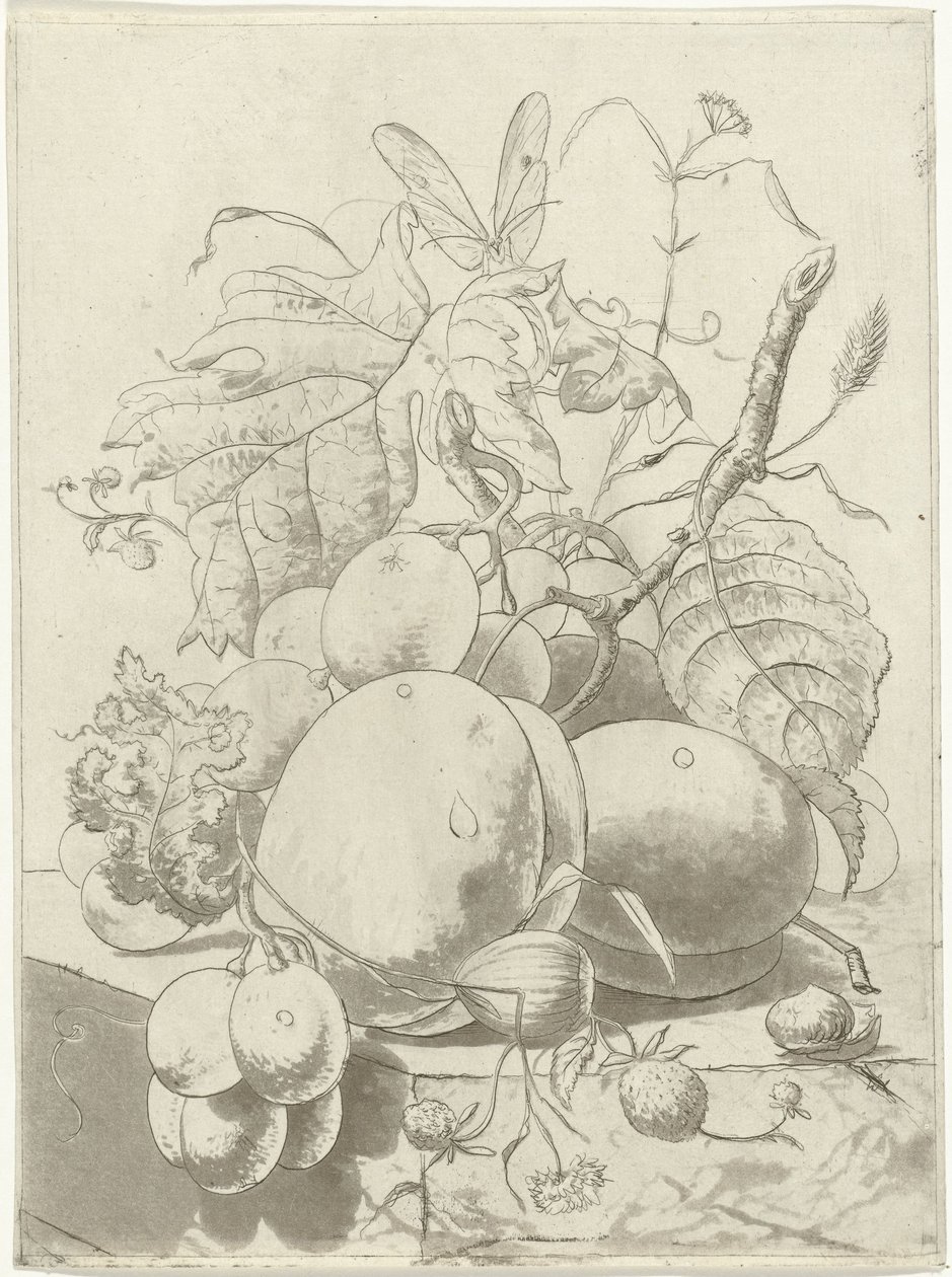 Frutas y una rama con una mariposa. de Hermanus Fock