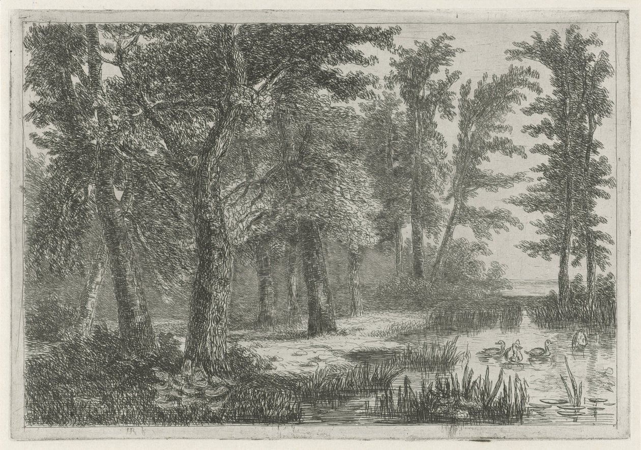 Vista al bosque con un pantano con patos de Hermanus Jan Hendrik van Rijkelijkhuysen