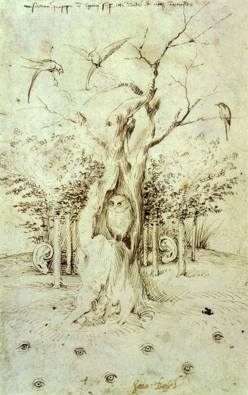 El bosque que oye y el campo que ve de Hieronymus Bosch