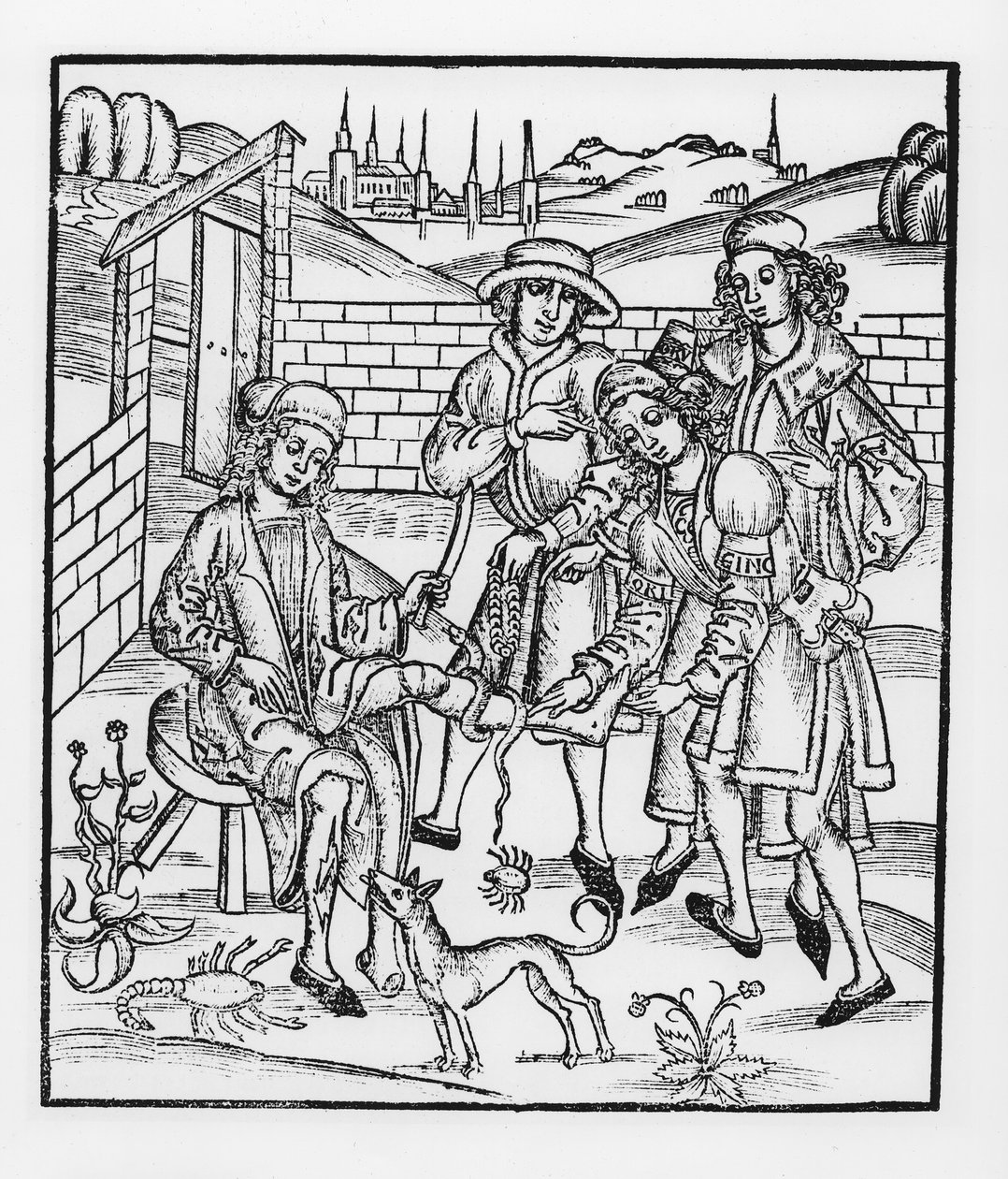 Tratando una mordedura de serpiente, de 