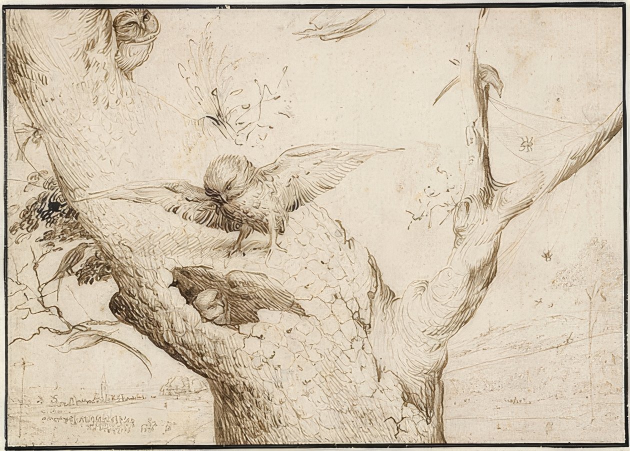 Nido de búhos, c. 1505-10 de Hieronymus Bosch