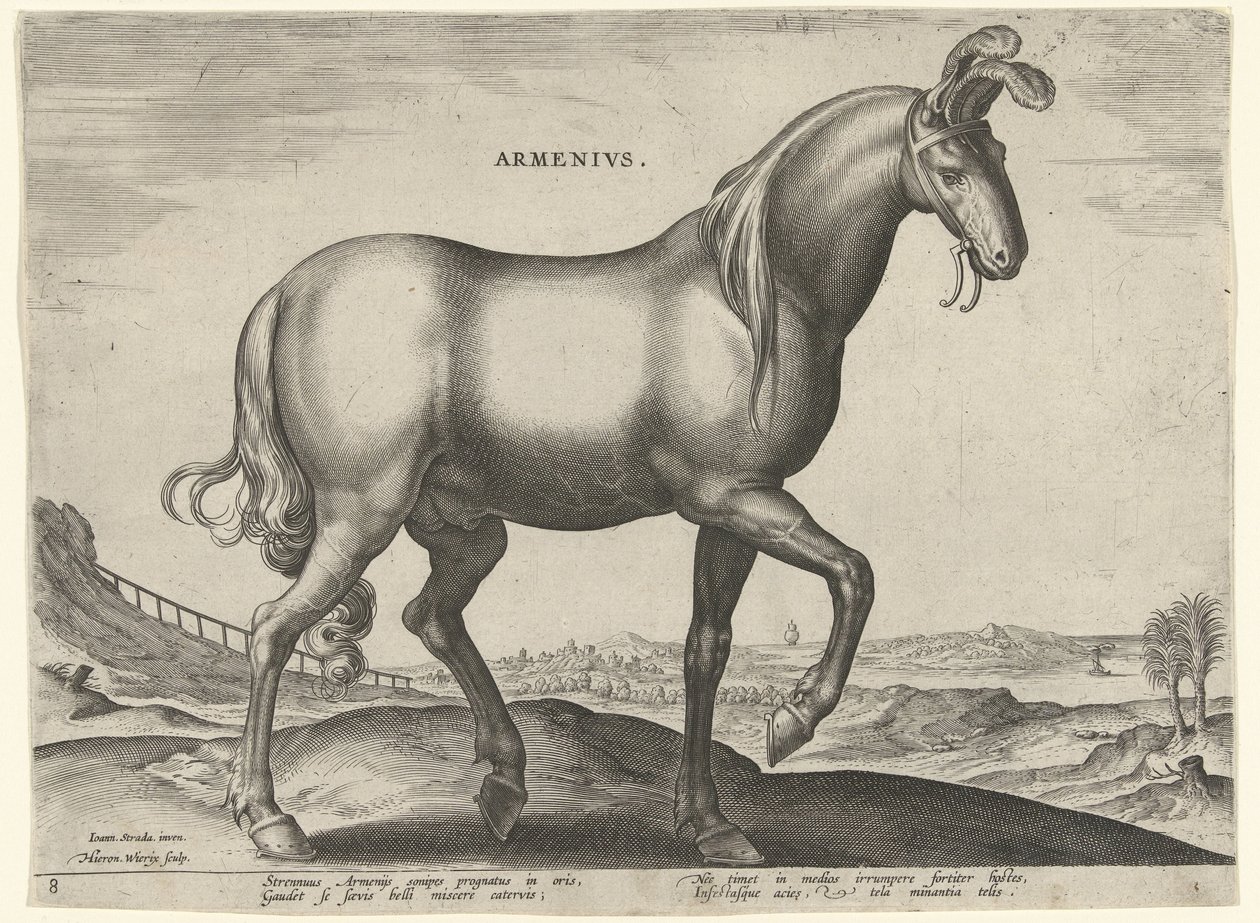 Caballo de Armenia (Armenius) Armenios (título sobre objeto) Razas de caballos de las Caballerizas Reales de Don Juan de Austria (título de la serie) Equile Ioannis Austriaci Caroli (título de la serie) de Hieronymus Wierix