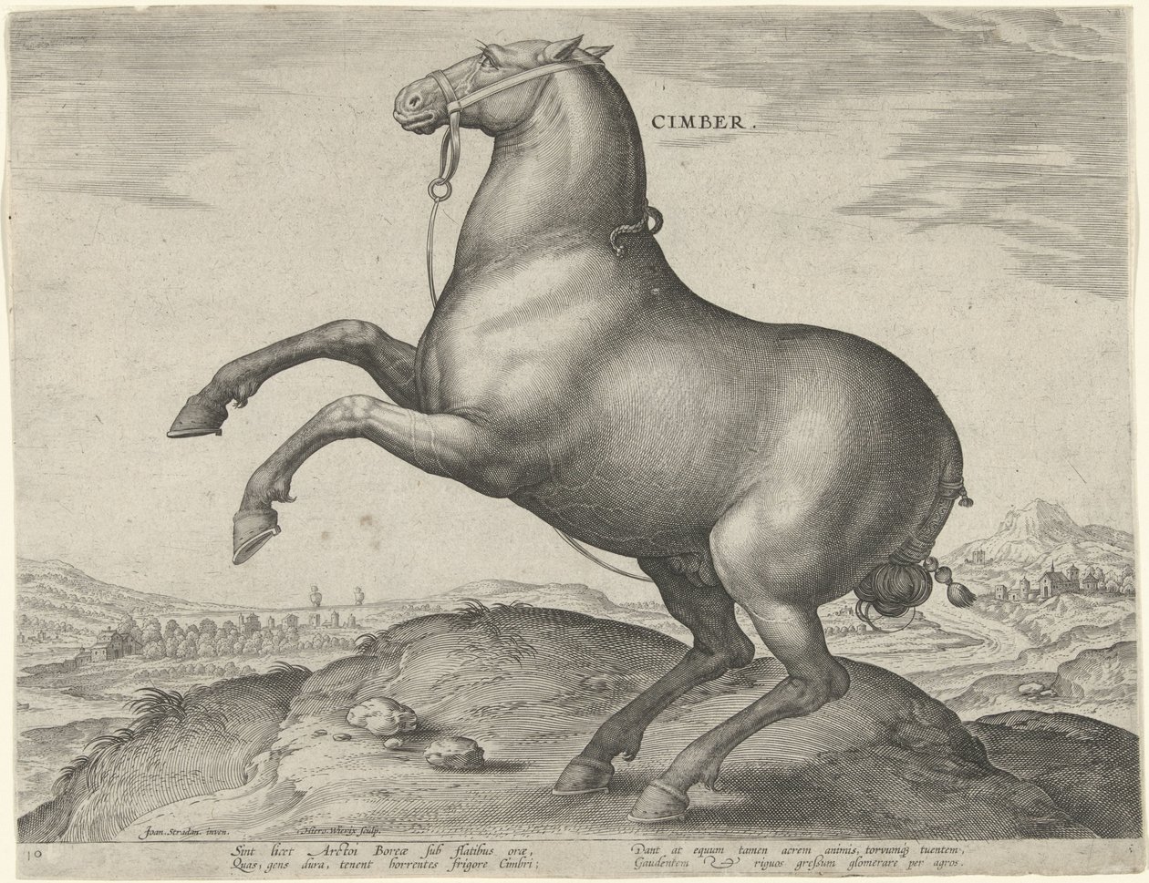 Caballo de Escitia Cimber (título sobre el objeto) Razas de caballos de las Caballerizas Reales de Don Juan de Austria (título de la serie) Equile Ioannis Austriaci Caroli (título de la serie) de Hieronymus Wierix