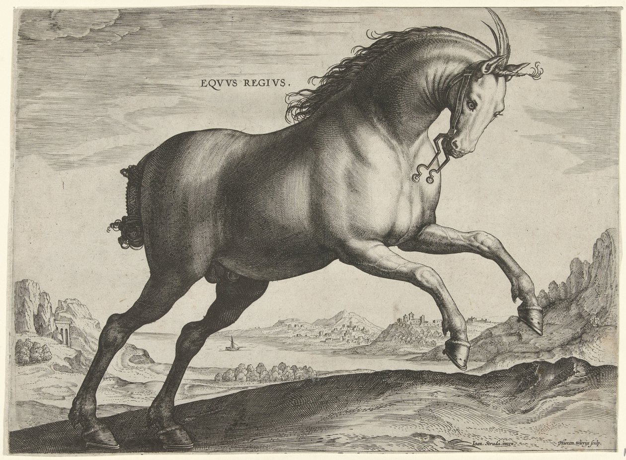 Caballo de la raza Equus Regius (el Real) Eqvvs Regivs (título en objeto) Razas de caballos de las Caballerizas Reales de Don Juan de Austria (título de la serie) Equile Ioannis Austriaci Caroli (título de la serie) de Hieronymus Wierix