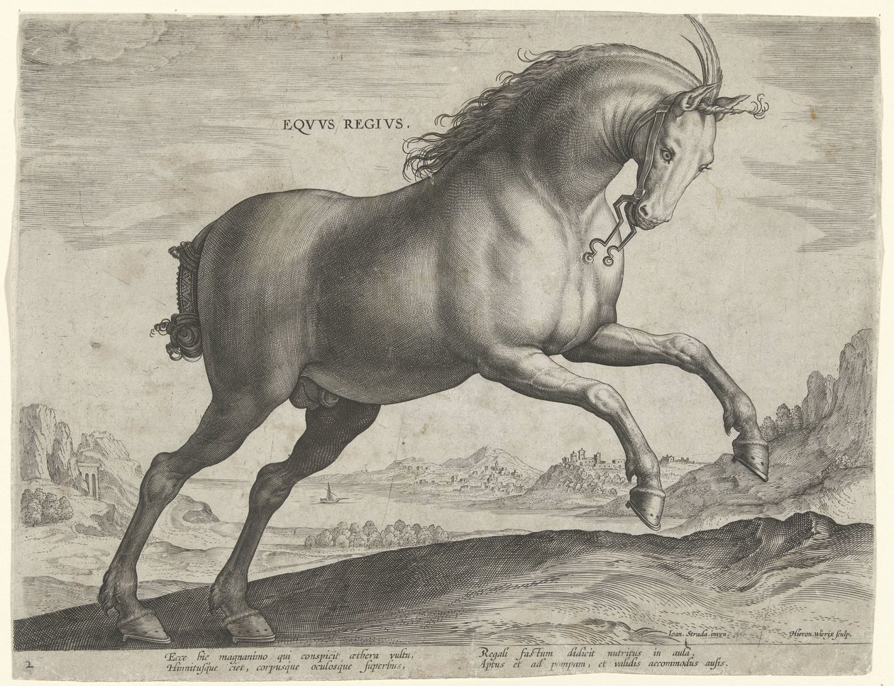 Caballo de la raza Equus Regius (el Real) Eqvvs Regivs (título en objeto) Razas de caballos de las Caballerizas Reales de Don Juan de Austria (título de la serie) Equile Ioannis Austriaci Caroli (título de la serie) de Hieronymus Wierix