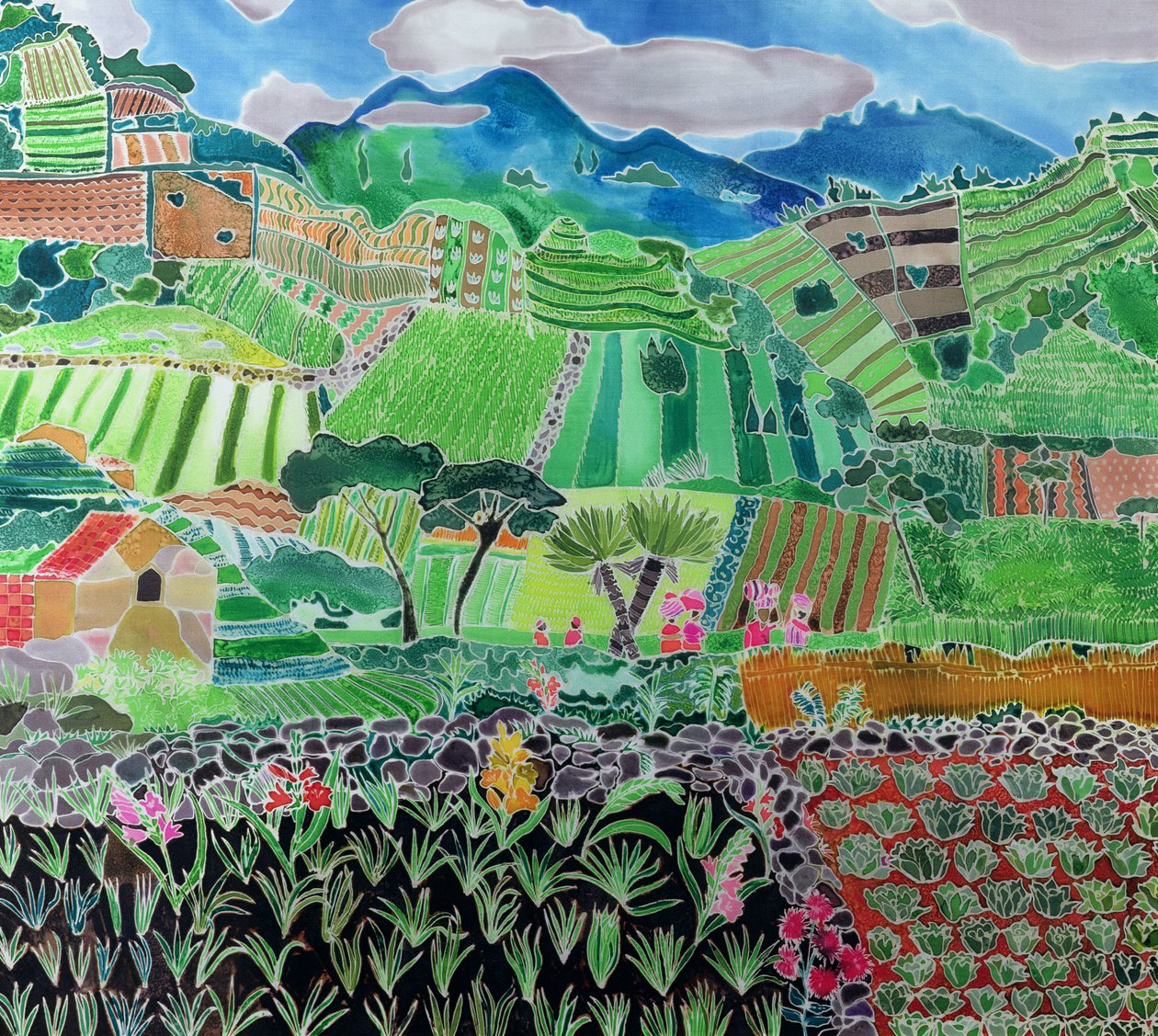 Repollo y lirios, región de Sololá, Guatemala, 1993 de Hilary Simon