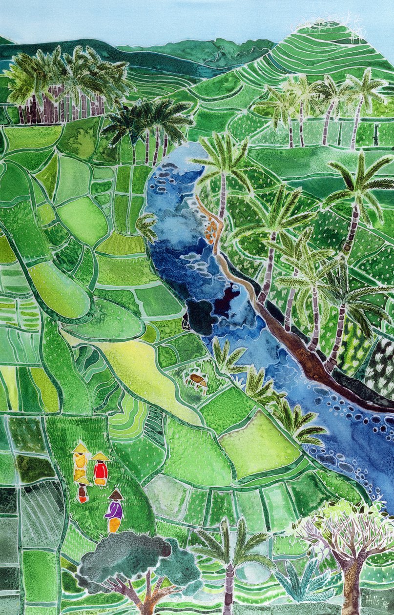 Río Agung, Bali, 1996 de Hilary Simon