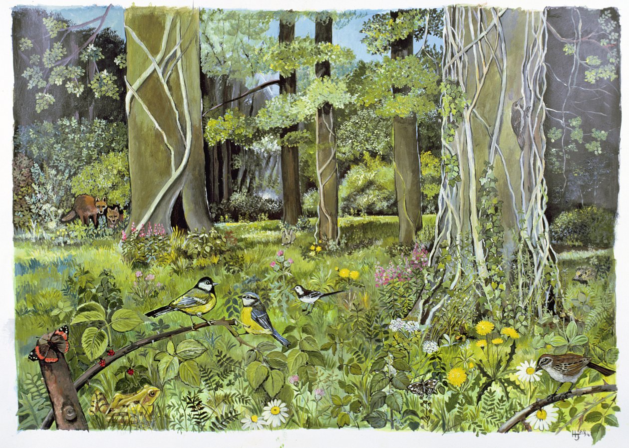 Detrás de los Escuderos, Devon de Hilary Jones