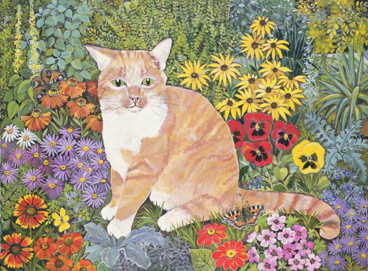 El gato de los carpinteros de Hilary Jones