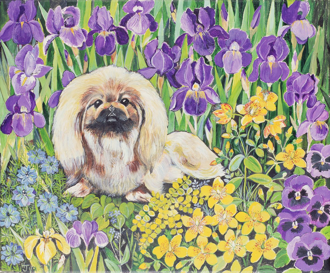 Wilma de Hilary Jones