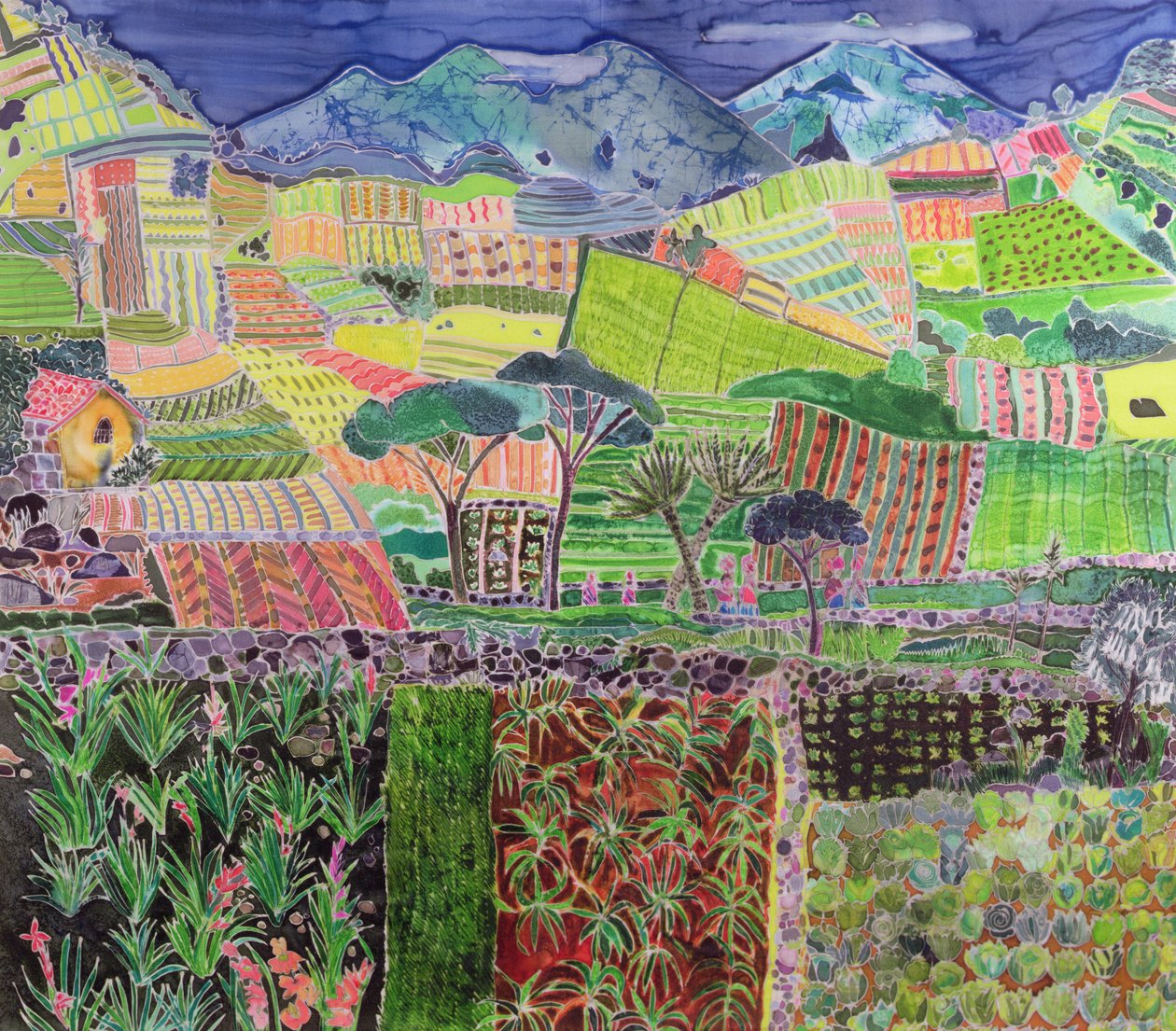 Revisitando coles y lirios, Guatemala, 2006 de Hilary Simon