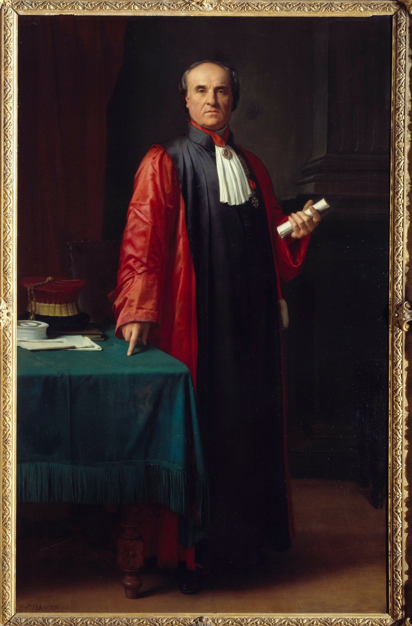 Retrato del doctor Rostan (1790-1866). Pintura de Hippolyte Flandrin (1809-1864) siglo XIX, Museo Granet, Aix en Provence de Hippolyte Flandrin