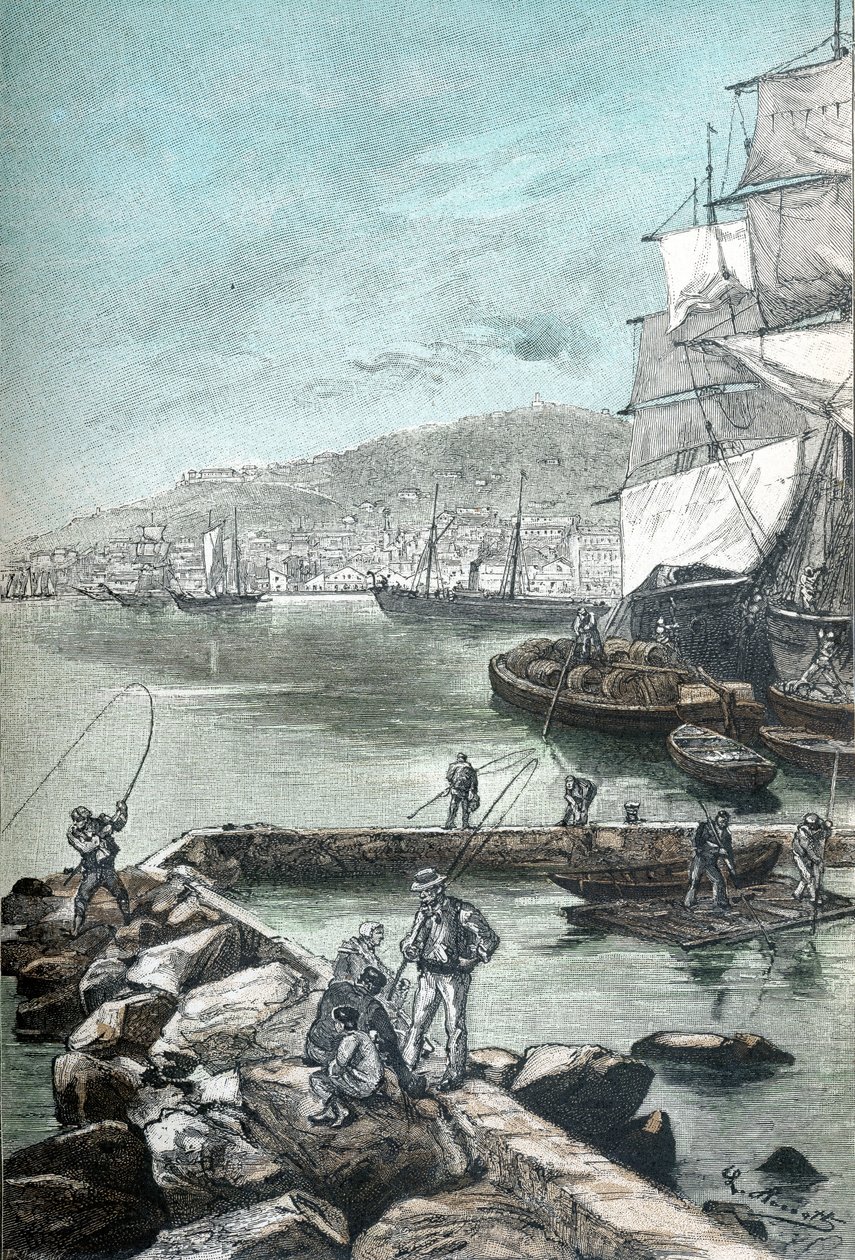 Ilustración en cromotipografía para "Clovis Dardentor" de Jules Verne, grabado por L. Benett para la edición Hetzel 1896 (grabado) de Hippolyte Leon Benett