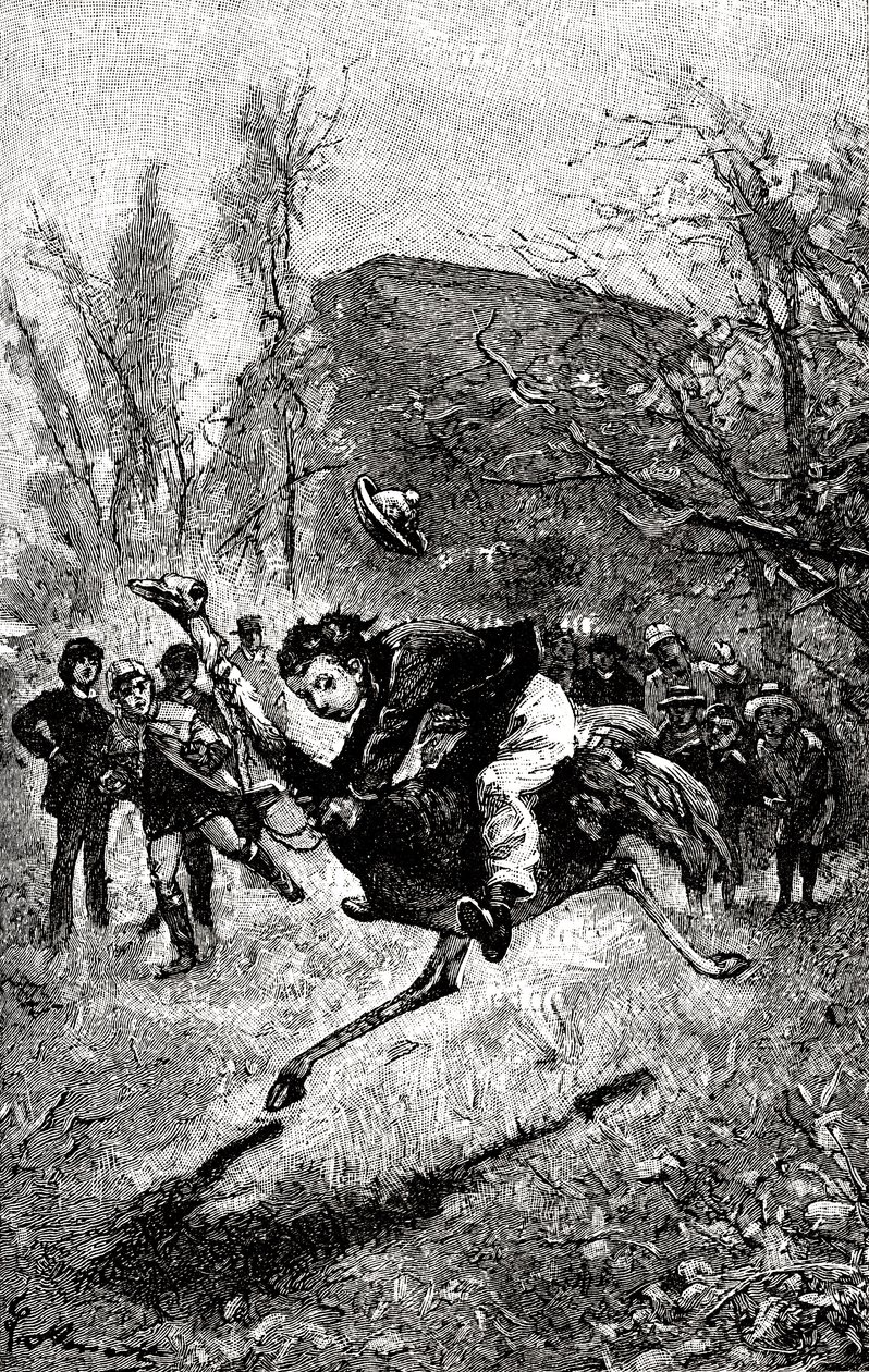 El joven Servicio montando un avestruz. Grabado de Hippolyte Leon Benett