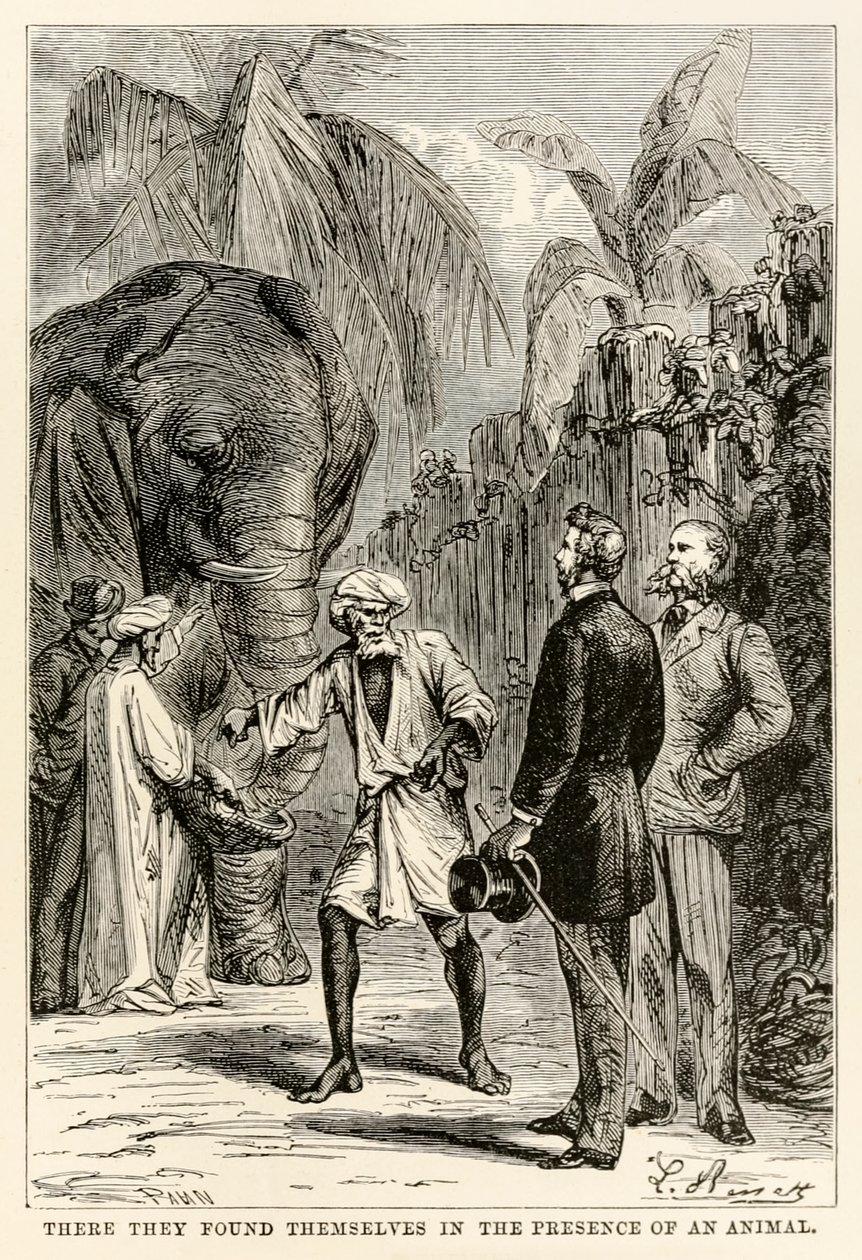 Allí se encontraron en presencia de un animal, de La vuelta al mundo en ochenta días de Julio Verne de Hippolyte Leon after Benett