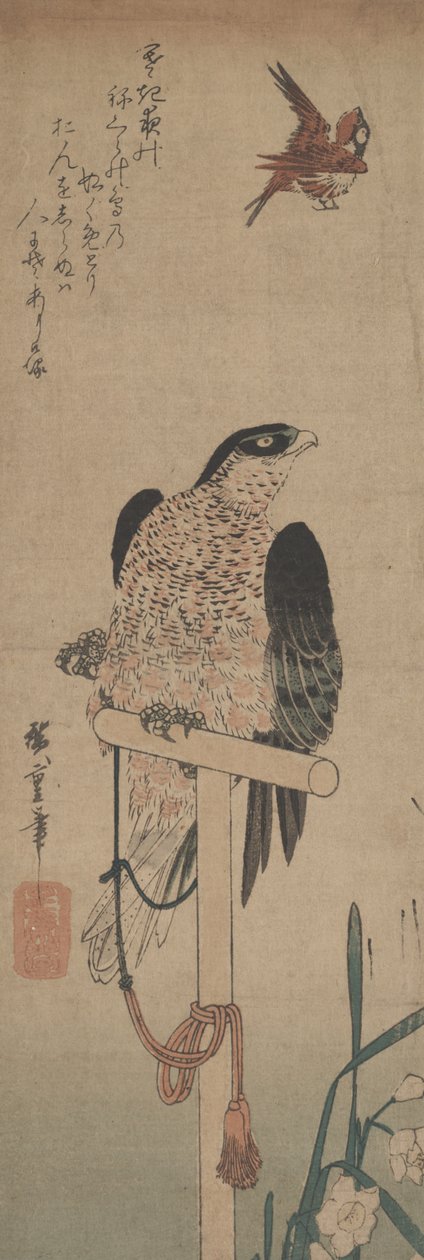 Halcón sobre percha, gorrión y narciso de Hirokage Utagawa