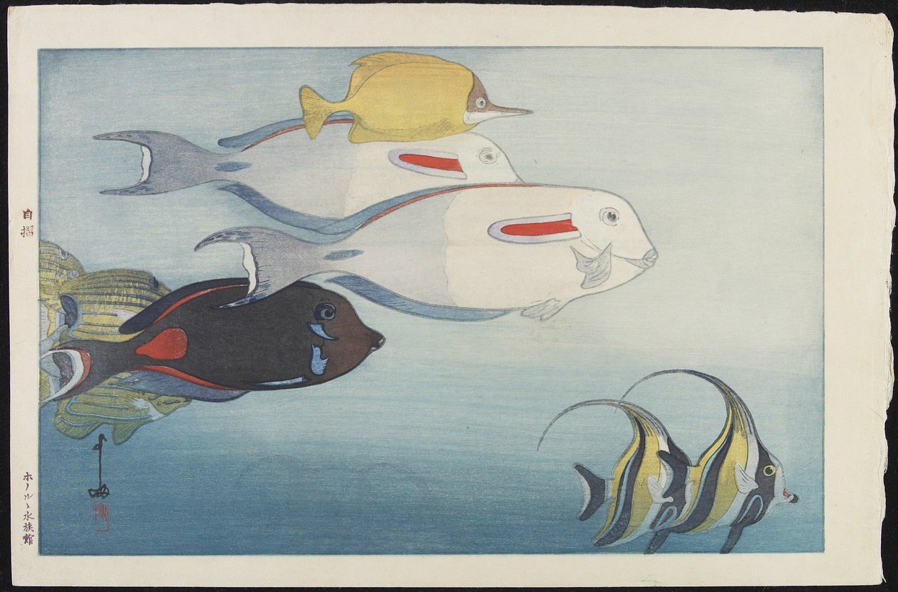 El Acuario de Honolulu de Hiroshi Yoshida