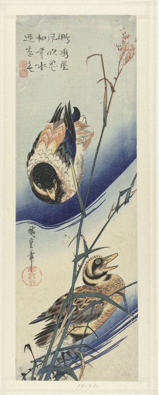Patos cerca de cañas de Hiroshige (I) , Utagawa