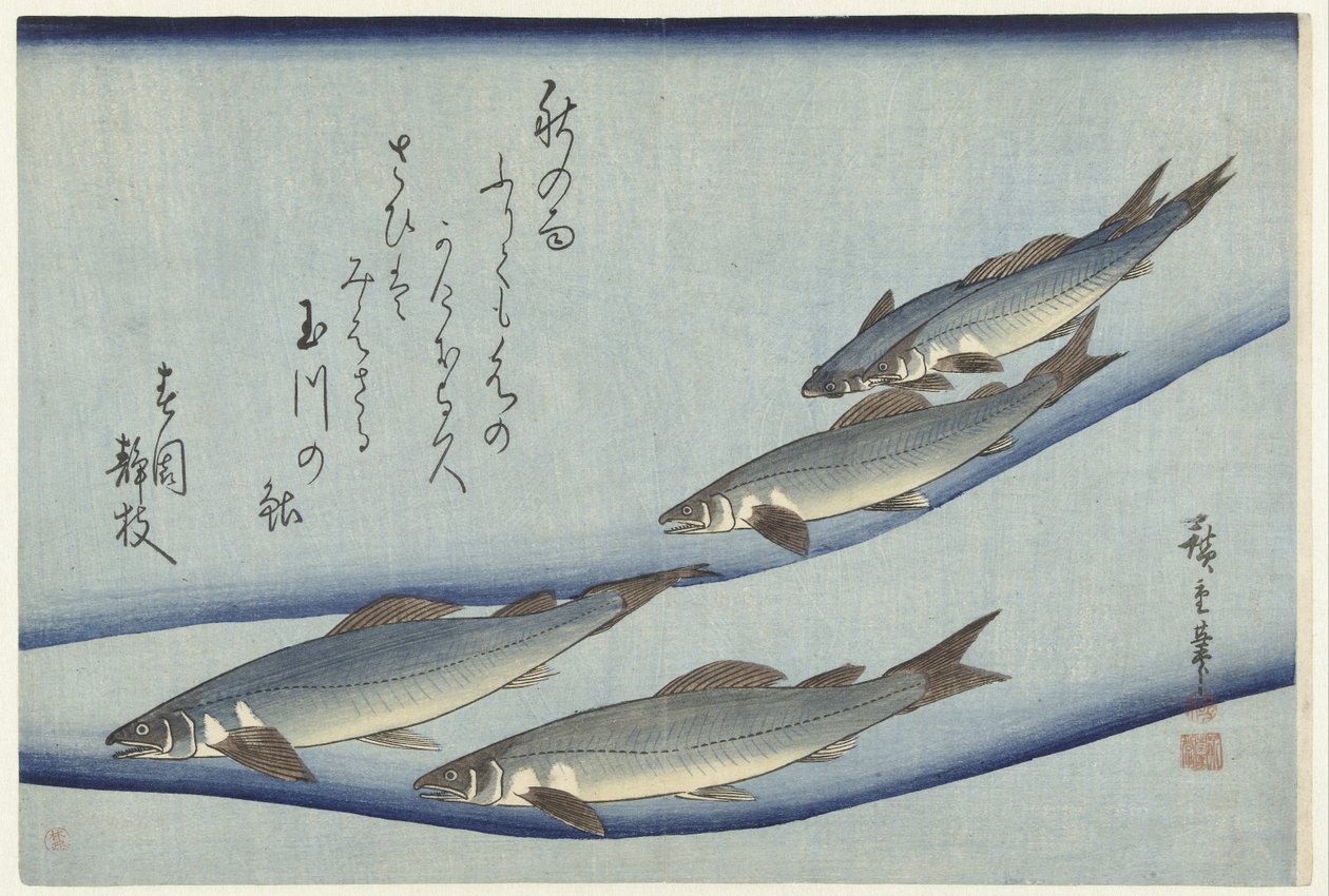 Trucha de Hiroshige (I) , Utagawa