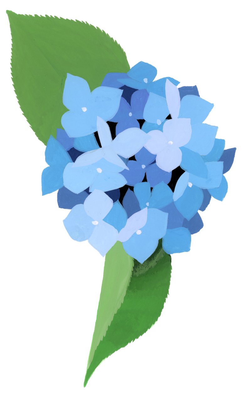 Hortensia de Hiroyuki Izutsu