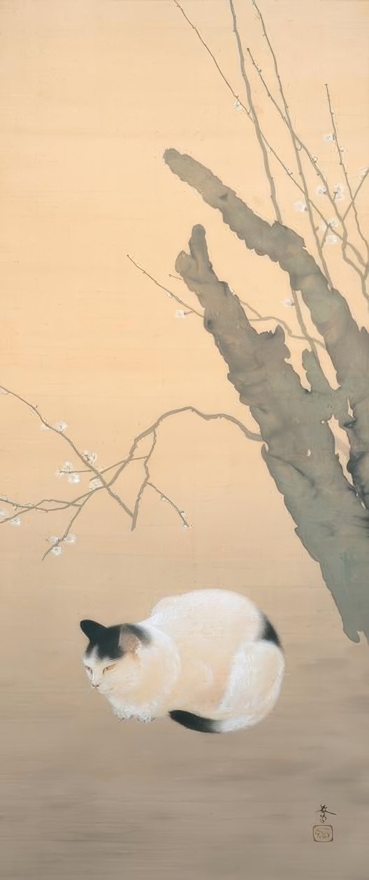 Hishida Shunso, Gato y flores de ciruelo de Hishida shunso