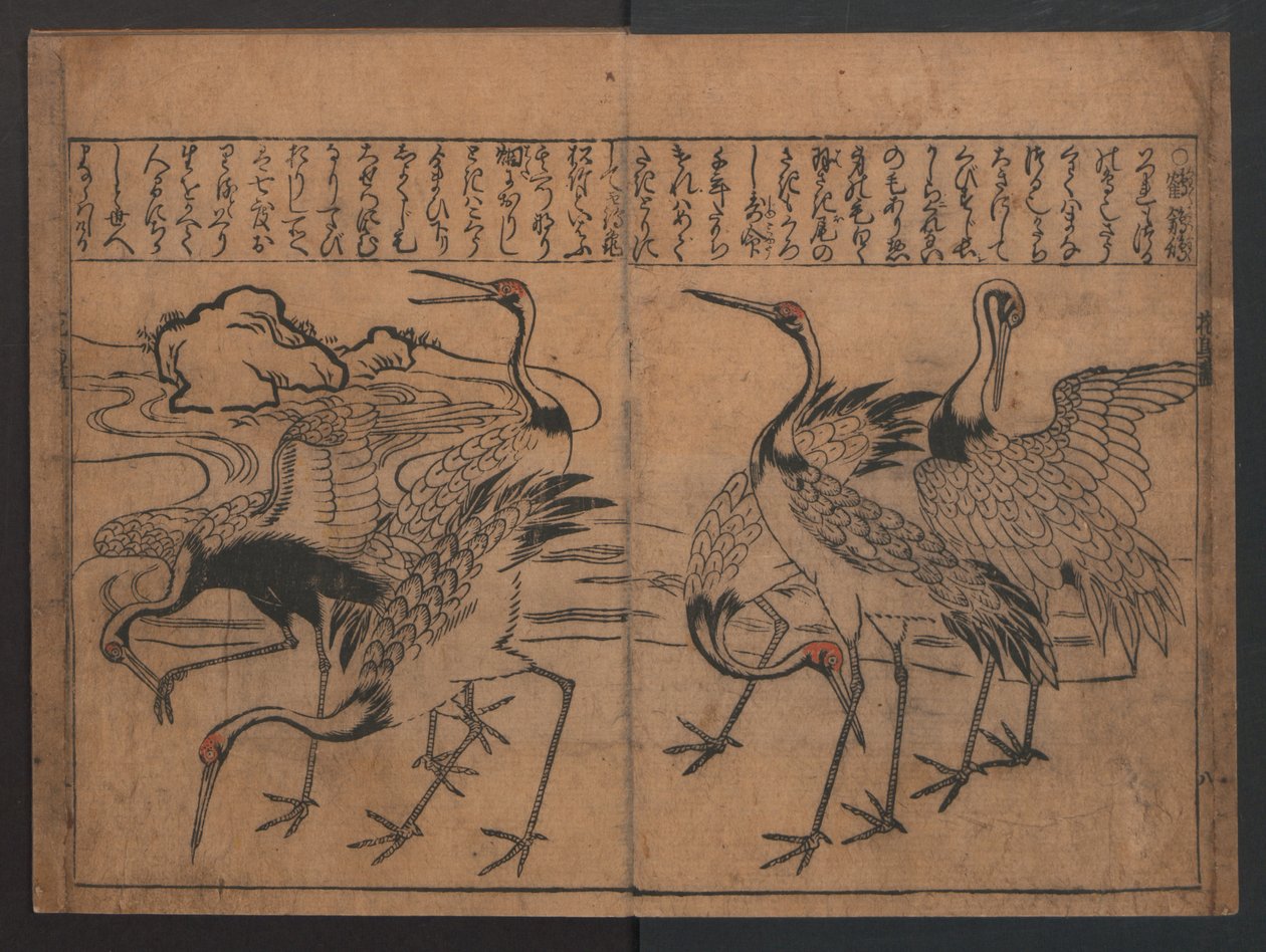 Illustrationen von Vögeln und Blumen (Kachō e-zukushi) de Hishikawa Moronobu