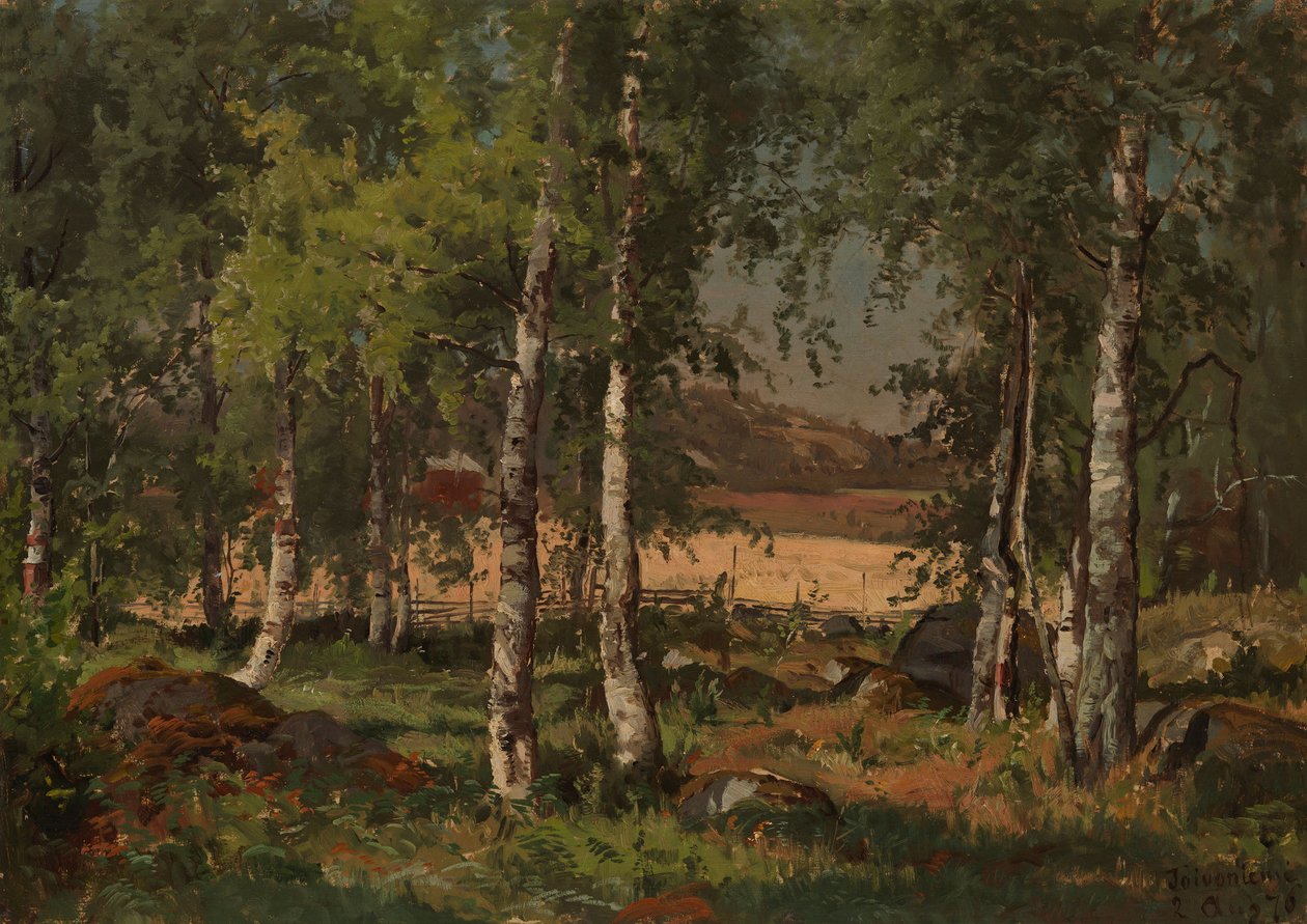 Paisaje con arboleda de abedules y campo de centeno de Hjalmar Munsterhjelm