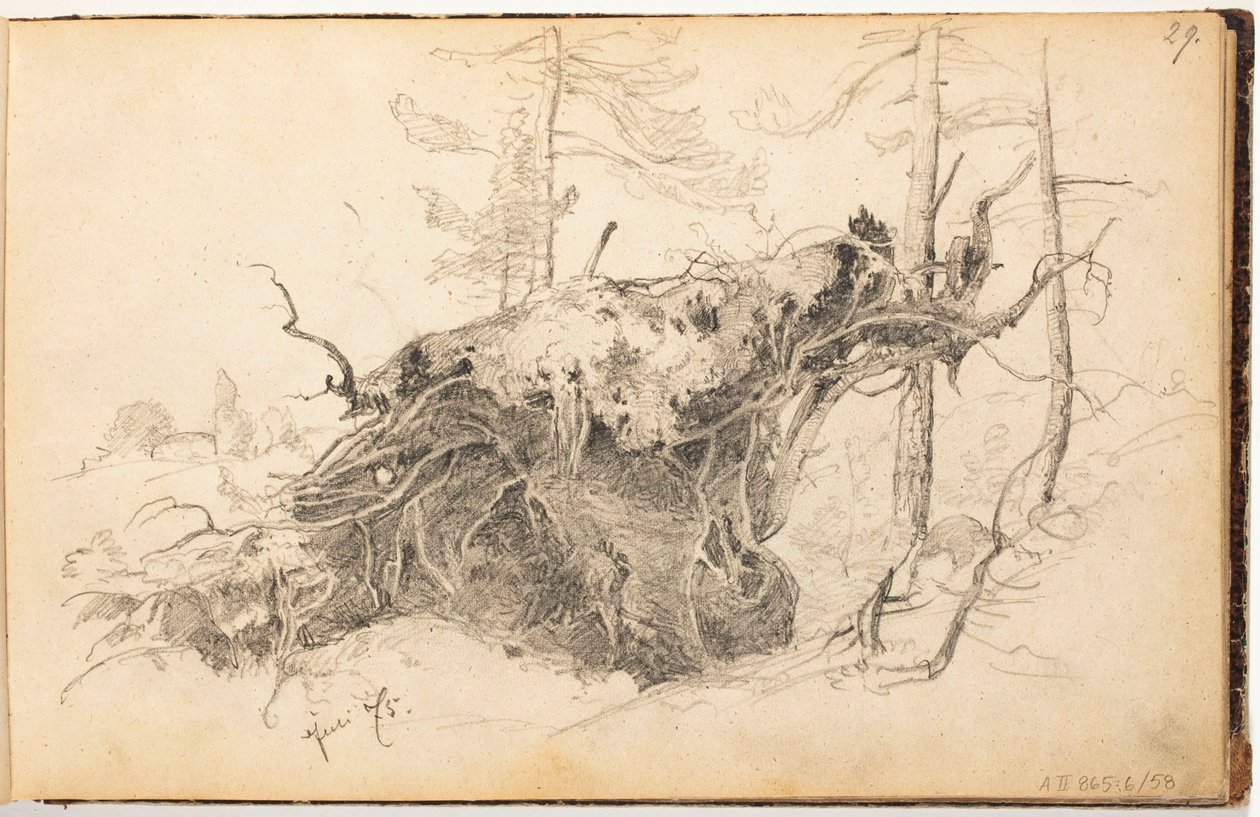 Sin título de Hjalmar Munsterhjelm
