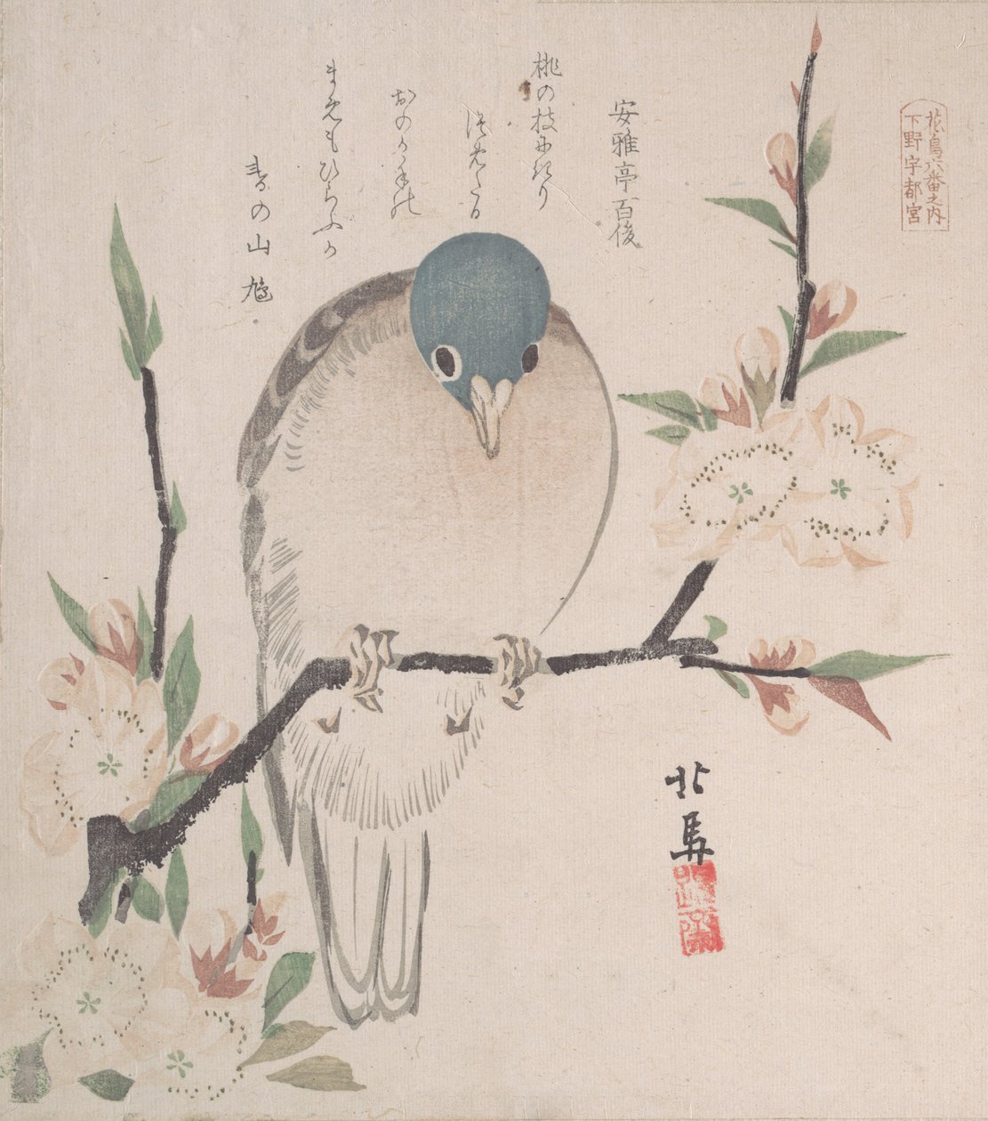 Colección de Lluvia de Primavera Harusame shu, vol. 3: Paloma de montaña y flores de durazno de Hokuba