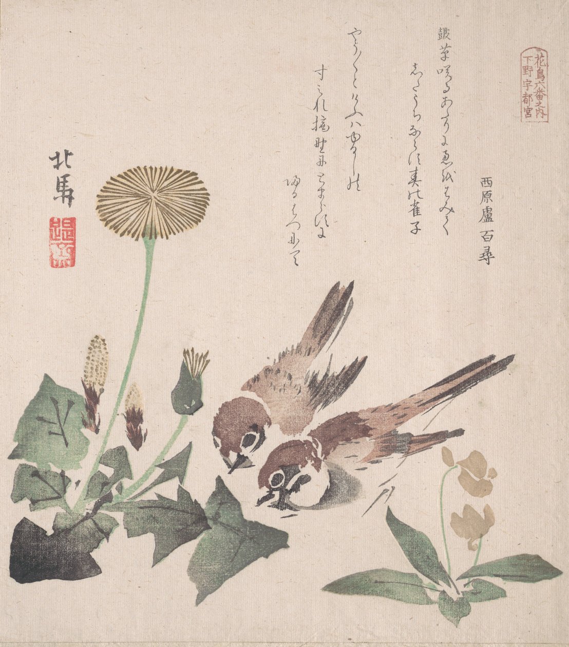 Colección de Lluvia de Primavera Harusame shu, vol. 3: Gorriones y Dientes de León, ca. 1820 de Hokuba