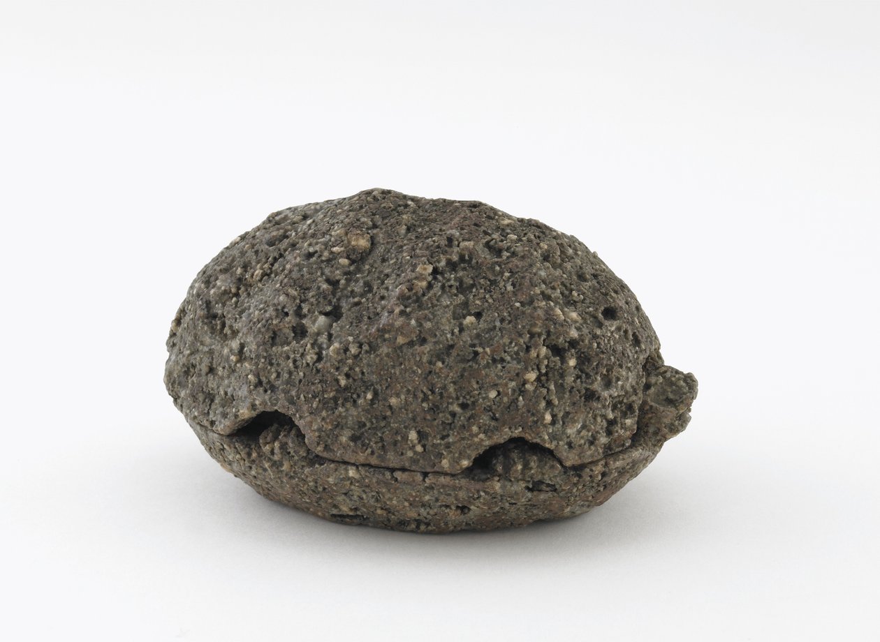 Caja de incienso en forma de tortuga, Kioto, período Edo de Honami Koho