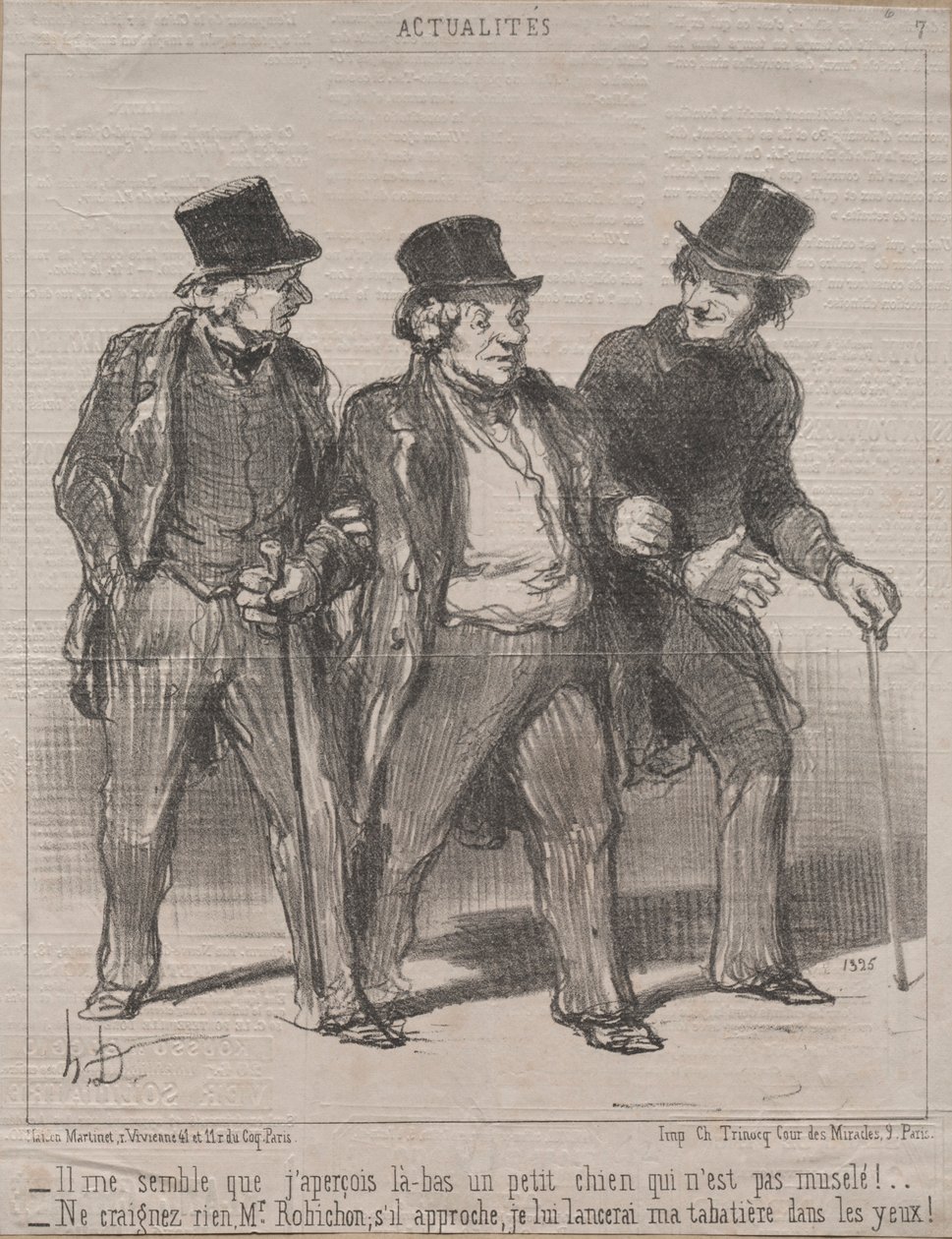 Actualidades No. 7: ¡Me parece que noto un perrito allí que no está con bozal!, 1852 de Honoré Daumier