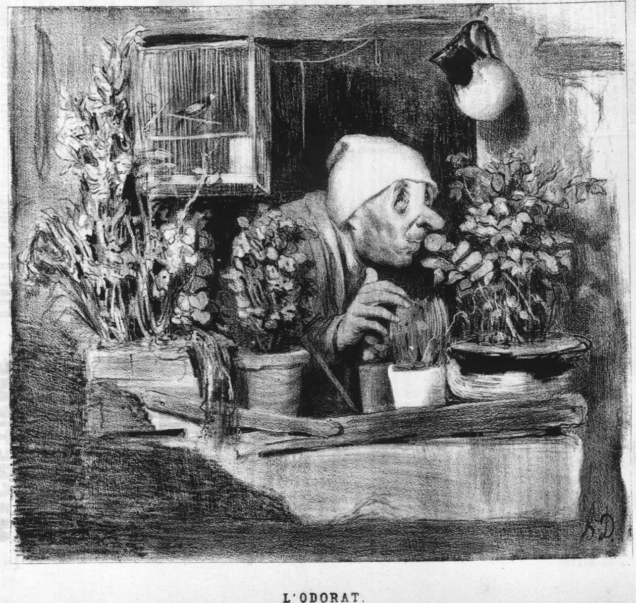 El oído: serie tomada de "Cinco sentidos", por Honoré Daumier (1808-1879). "Charivari" de Honoré Daumier