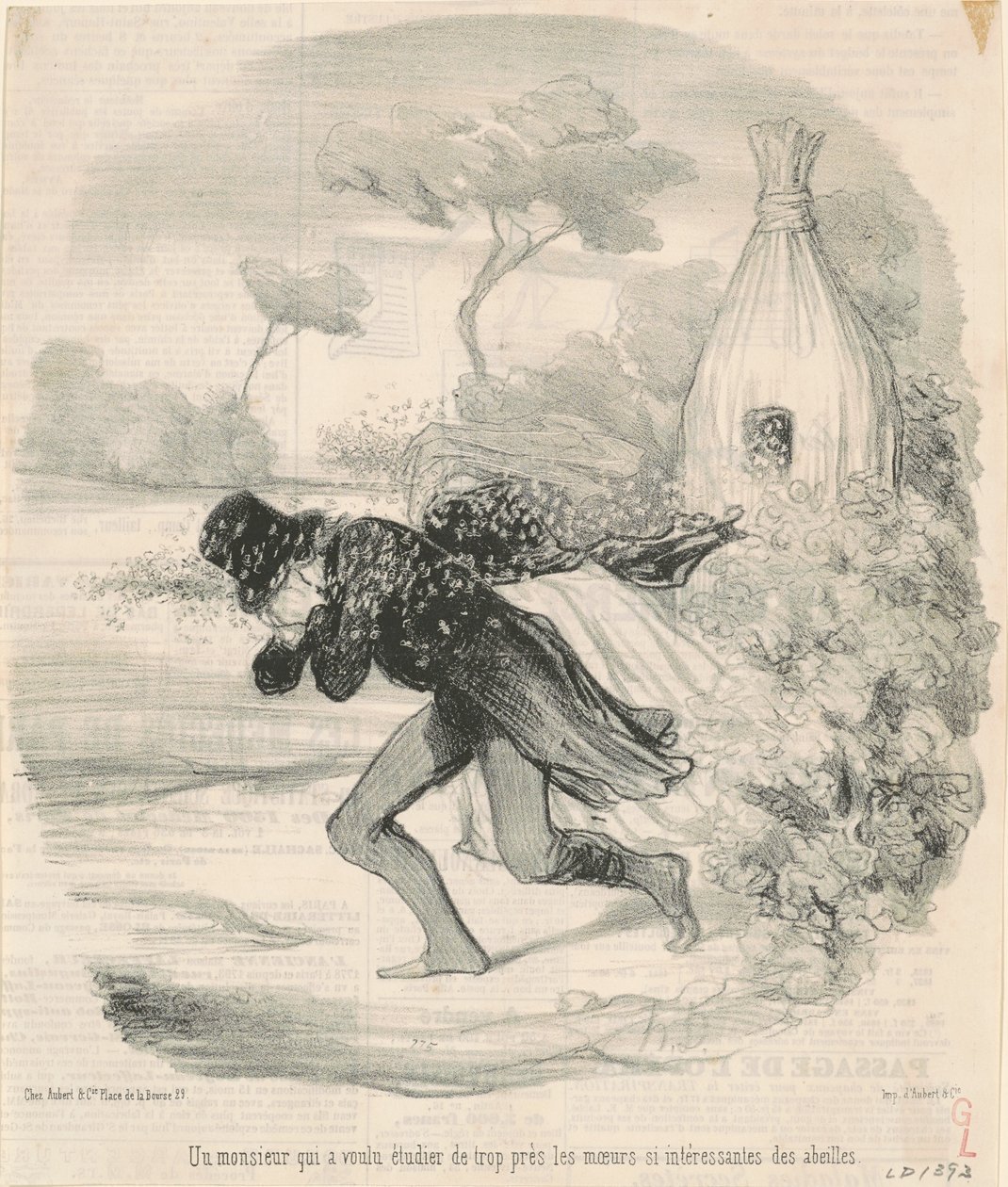 Un señor que quiso estudiar... las costumbres... de las abejas de Honoré Daumier