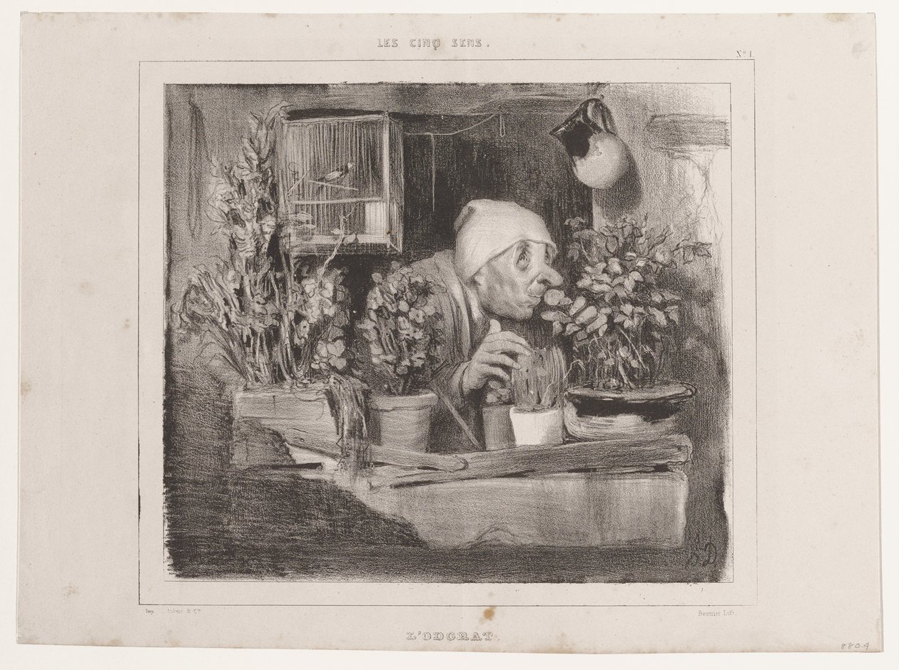 El olfato (Los cinco sentidos), de La Caricature de Honoré Daumier
