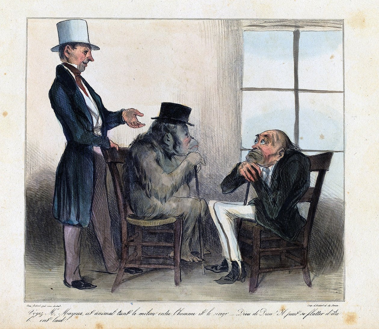 Mire, señor Mayeux, este animal está a medio camino entre el hombre y el mono, ¡por Dios! Puede presumir de ser feo" Viñeta de Honore Daumier (1808-1879) sobre las semejanzas entre un orangután y un hombre, extraída de "Charivari". de Honore Daumier