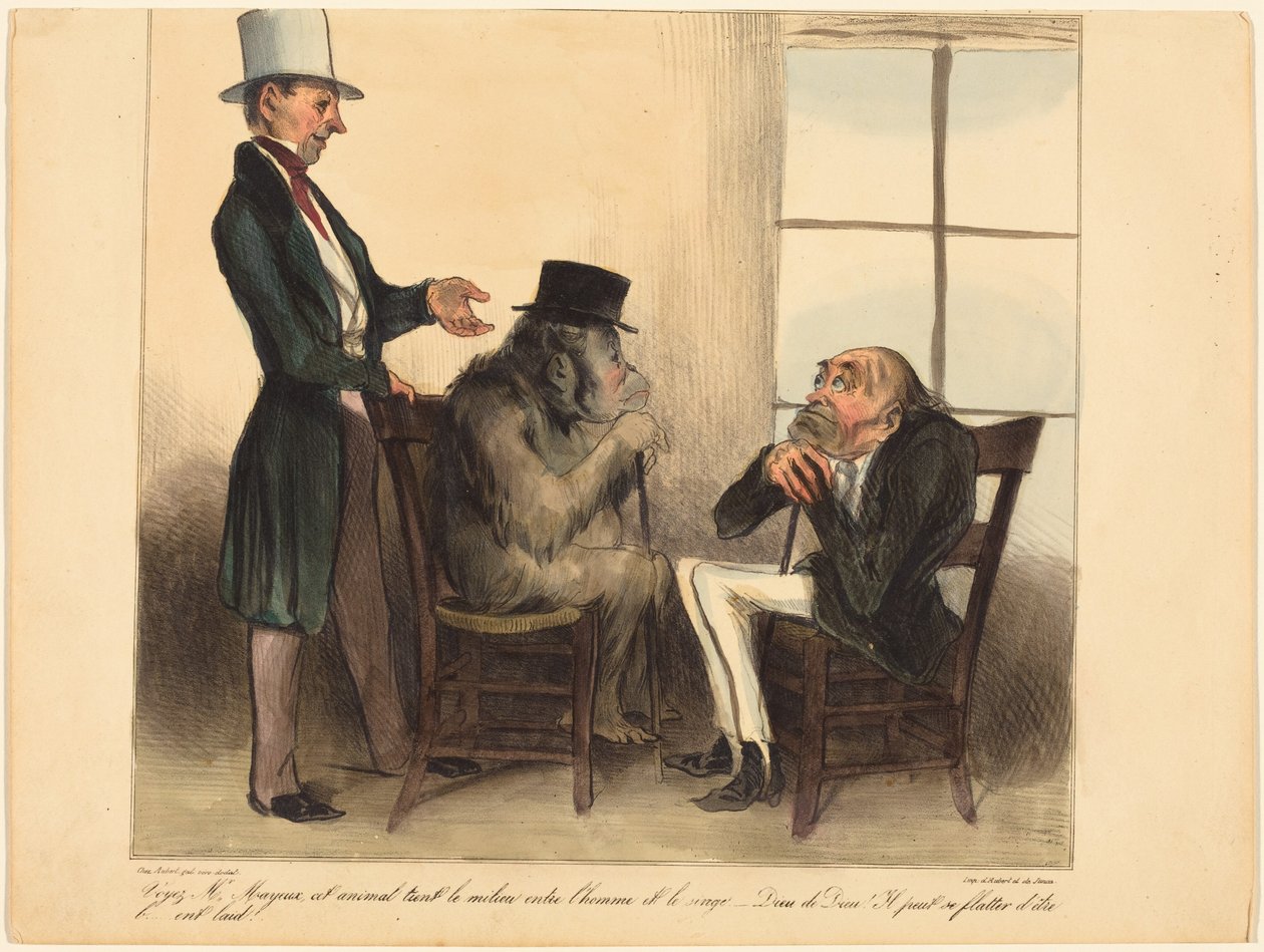 Mire, señor Mayeux, este animal... de Honoré Daumier