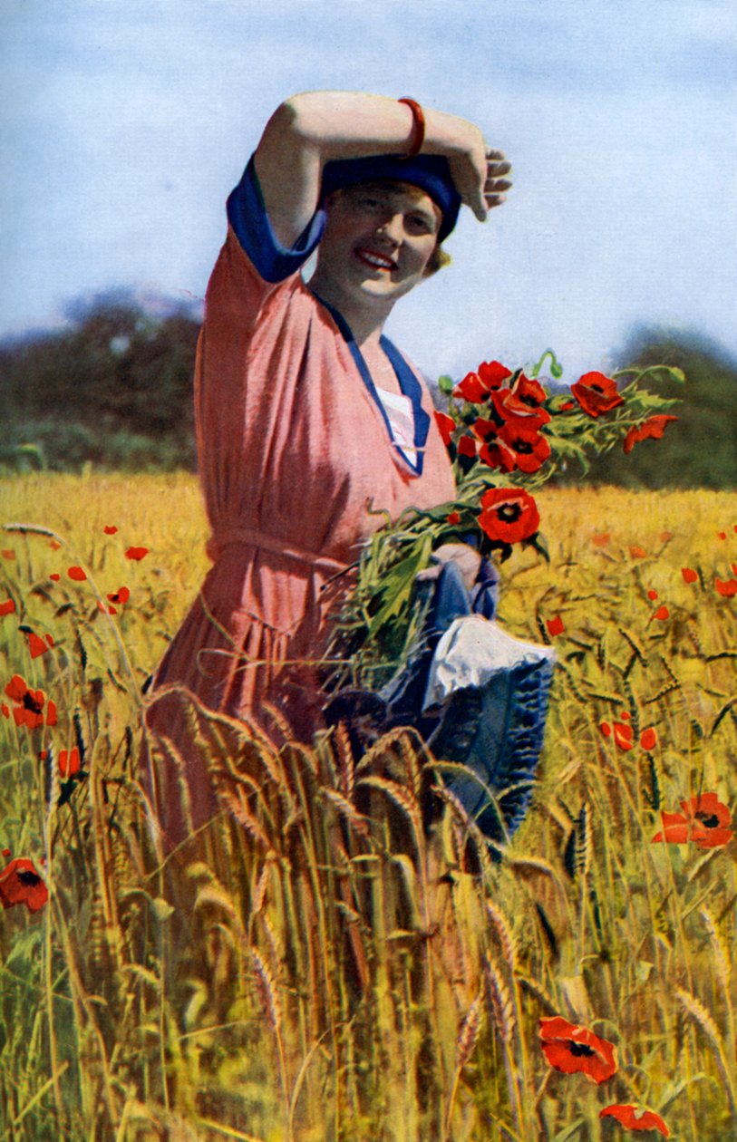 La rosa inglesa, c1922 de Horace Walter Nicholls