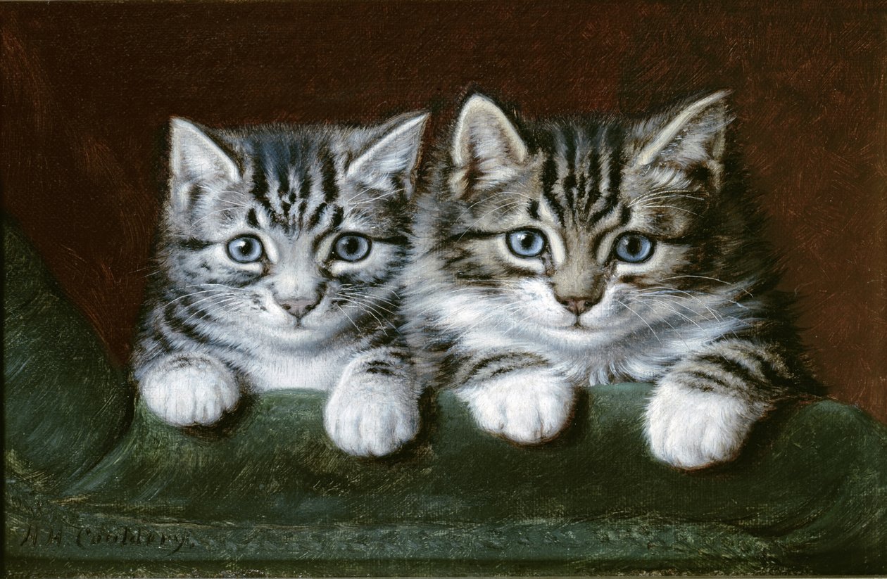 Dos gatitos atigrados (óleo sobre lienzo) de Horatio Henry Couldery
