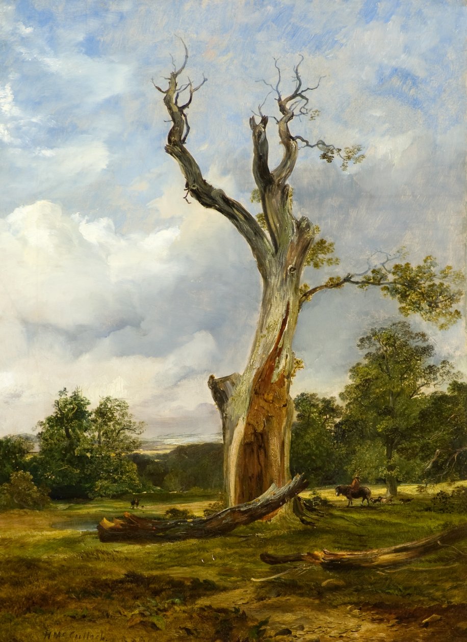 El árbol arrasado, c.1838 de Horatio McCulloch