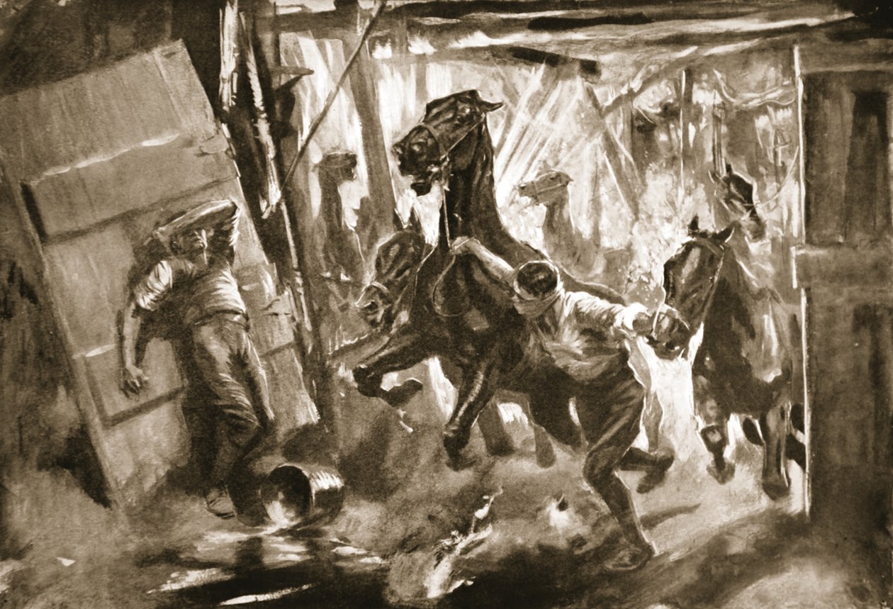 Sargento herrador provisional Cussens extrayendo caballos de establos en los que estalló una bomba de Howard K. Elcock