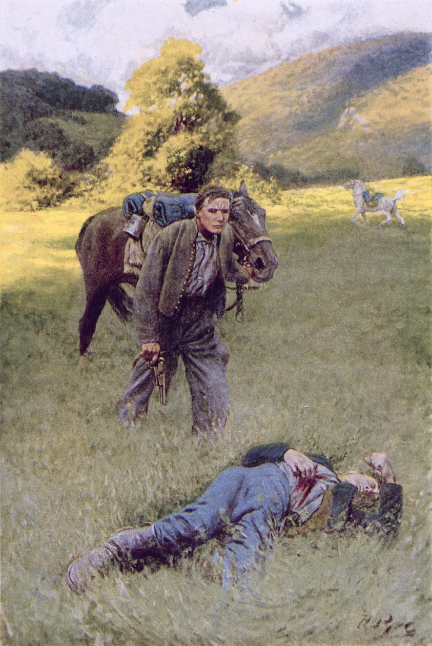 Un duelo solitario en medio de un gran campo soleado, ilustración de 