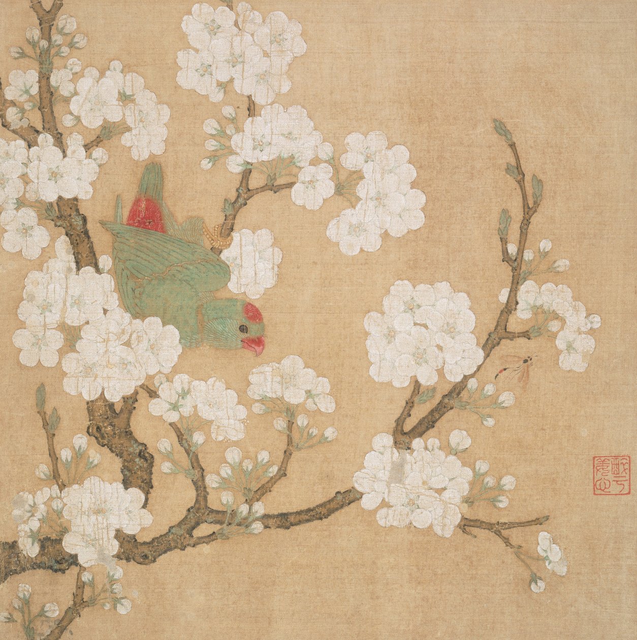 Loro e insecto entre flores de peral de Huang Jucai