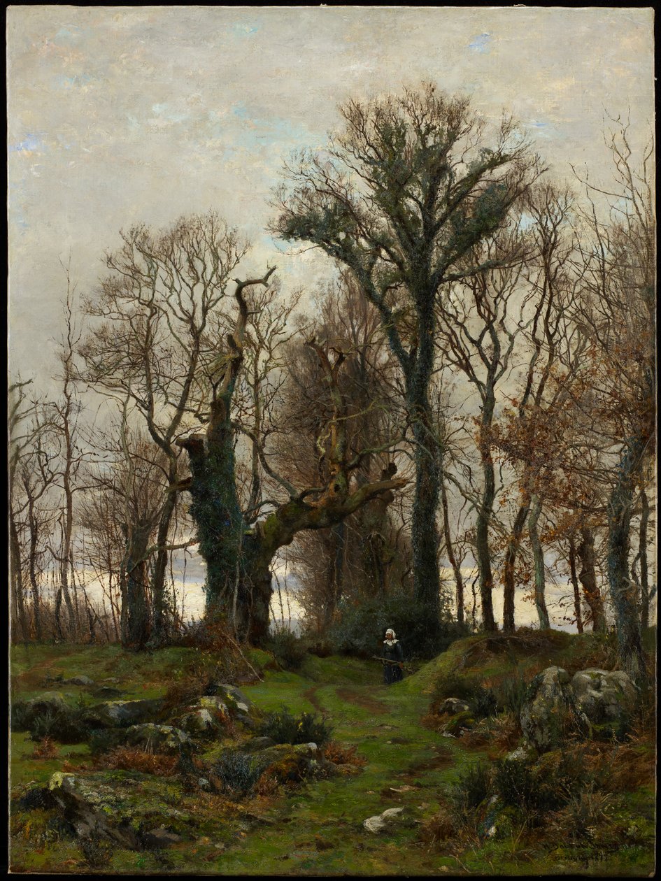Borde del páramo, Bretaña, 1877 de Hugh Bolton Jones