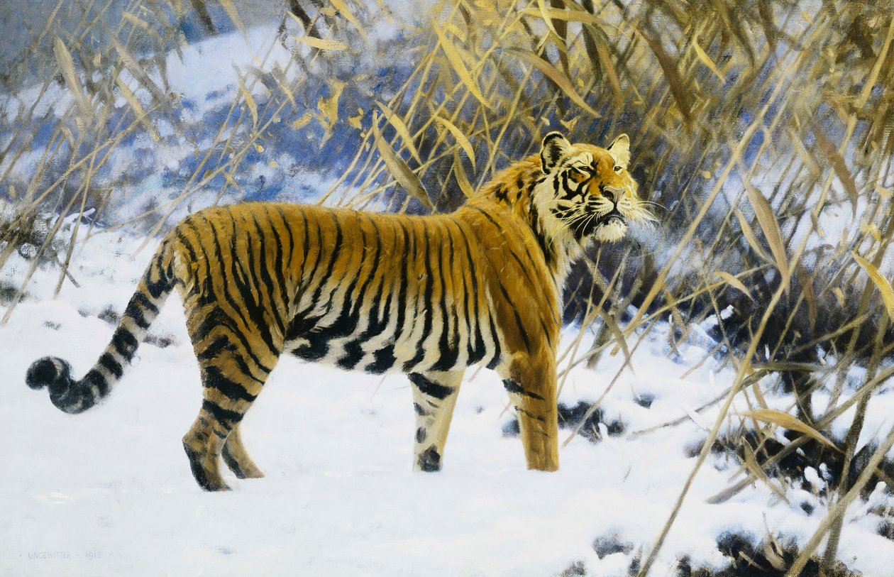 Tigre en un paisaje invernal de Hugo Ungewitter