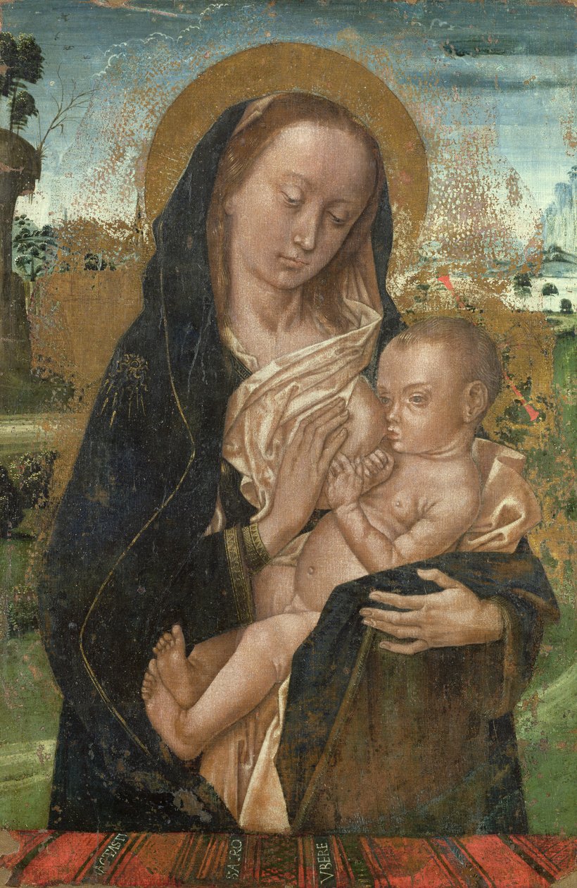 La Virgen María calmando al niño Jesús de Hugo van der studio of Goes