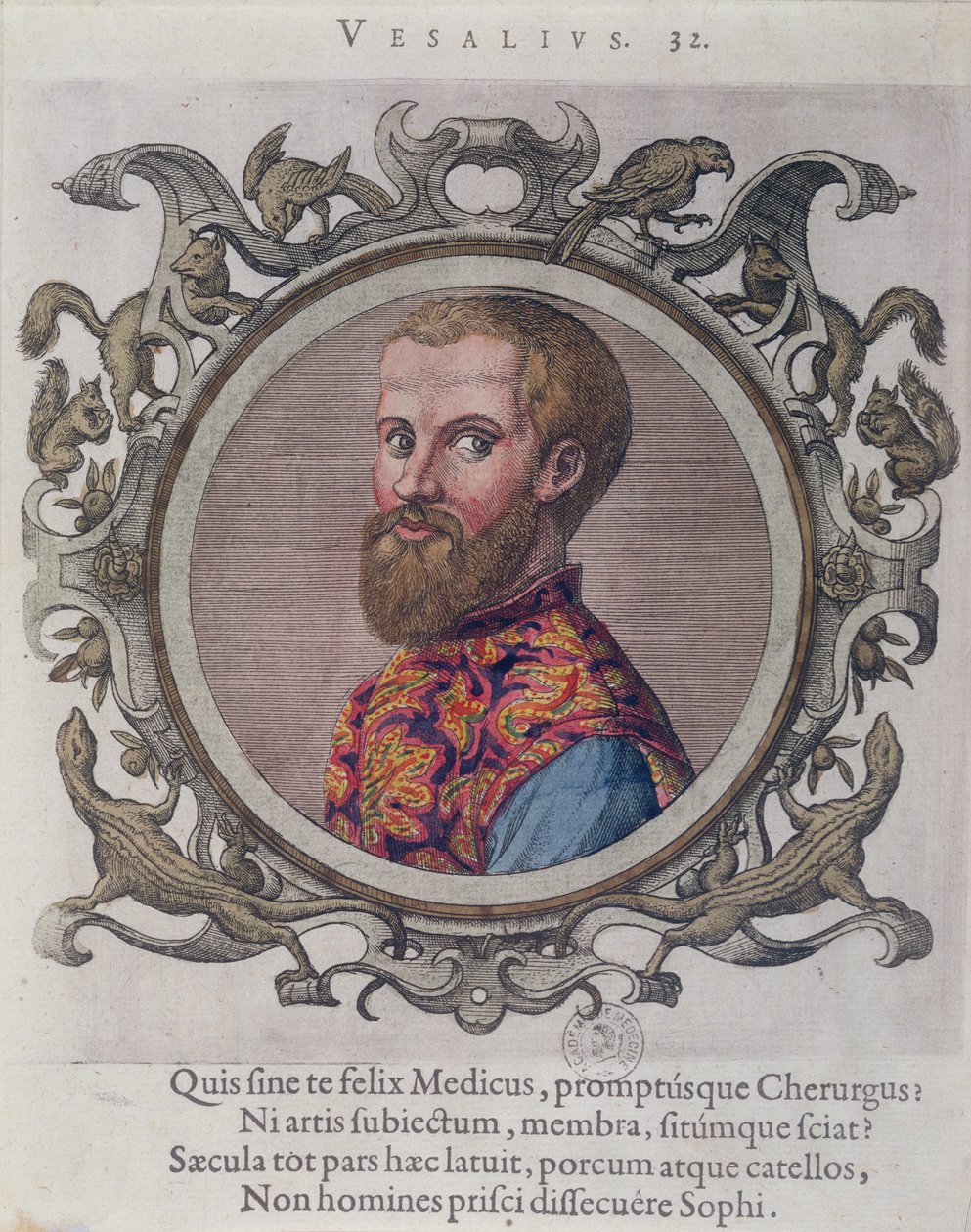 Retrato de Andreas Vesalius (1514-64) de Receuil des Portraits de Medecins por el doctor húngaro, Sambucus, 1574 de Hungarian School