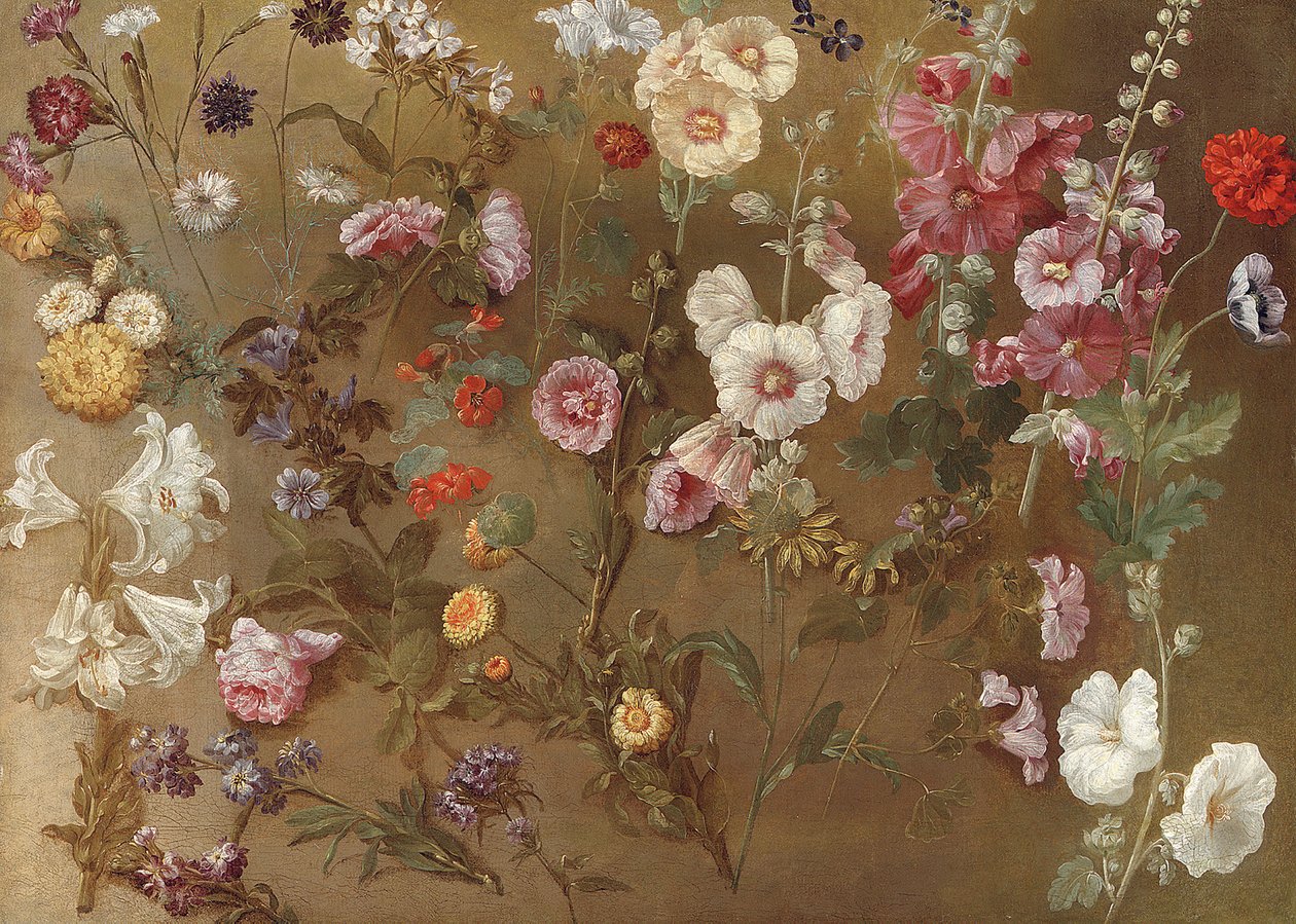Composición de estudios de flores incluyendo claveles, flores de cojín, betónica, malva; malvarrosas, caléndulas africanas, nomeolvides de Hyacinthe Francois Rigaud