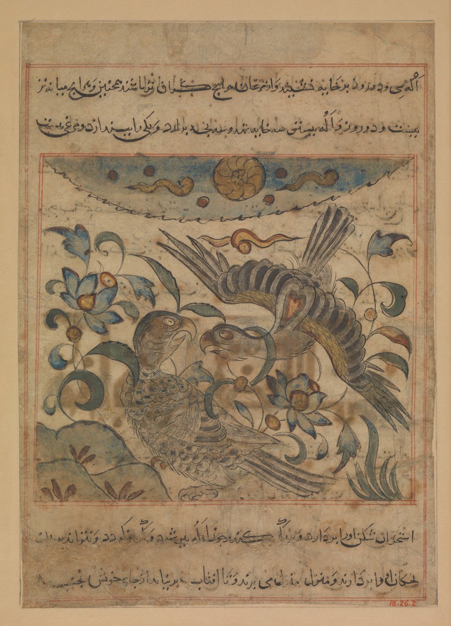 Par de águilas, Folio de un Manafi